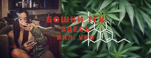 стаф Вязьма