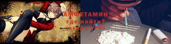 стаф Вязьма