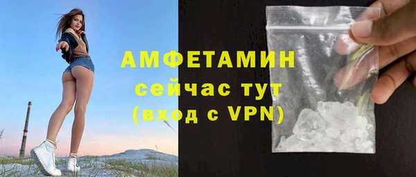 стаф Вязьма