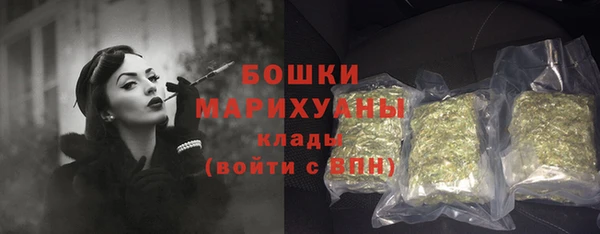 стаф Вязьма