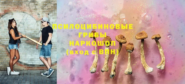 стаф Вязьма
