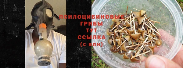 стаф Вязьма
