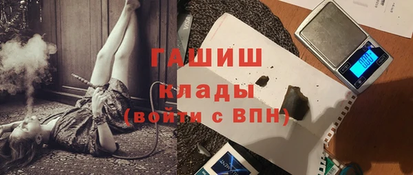 стаф Вязьма
