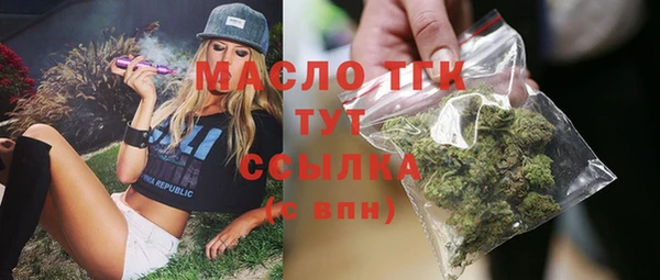 стаф Вязьма