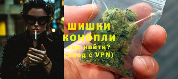 стаф Вязьма