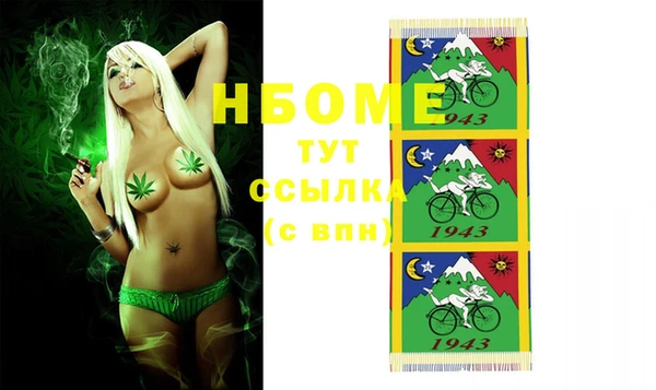 стаф Вязьма