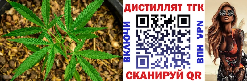 Дистиллят ТГК вейп с тгк  Купить закладки  Сычёвка 